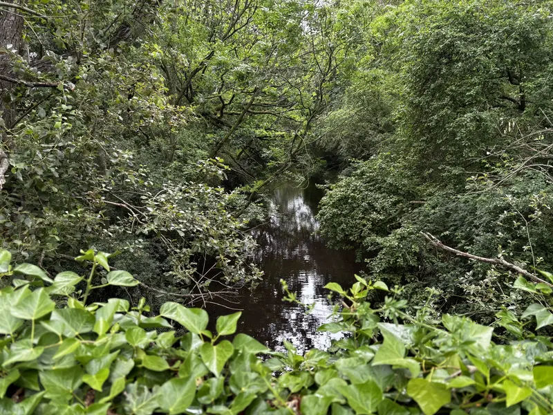Flooded railway